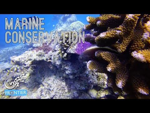 Marine conservation project 