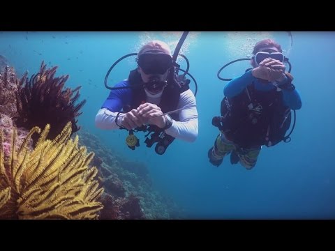 Diving for the Environment