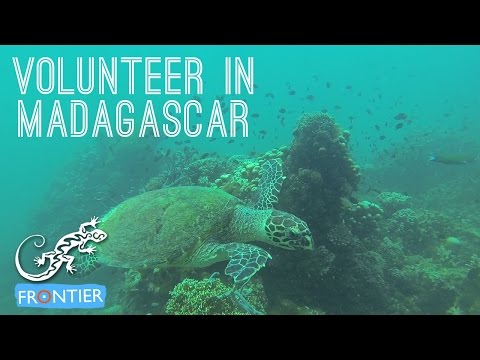 Madagascar Wildlife Conservation Adventure