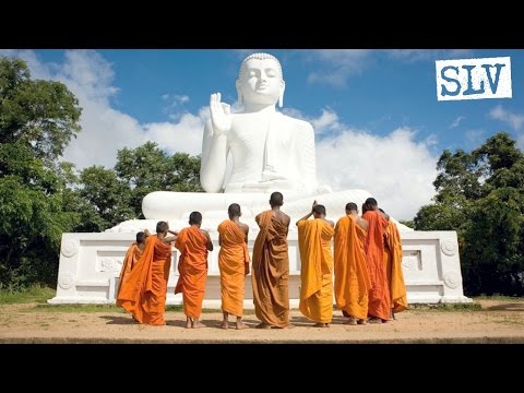 SLV.Global Sri Lanka! Mental Health Placement.