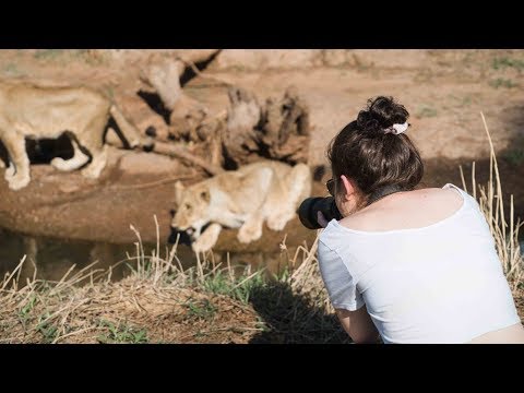 Volunteer at South Africa - Wildlife Sanctuary