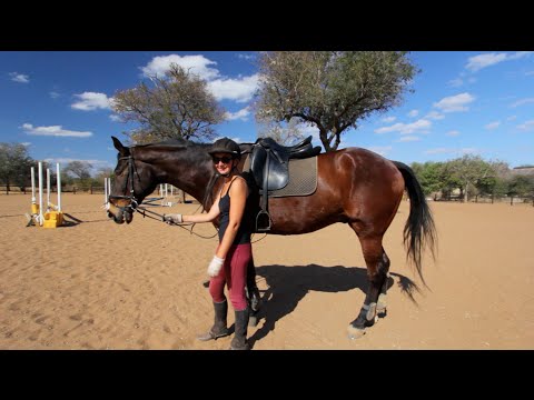 Living with Horses on Safari