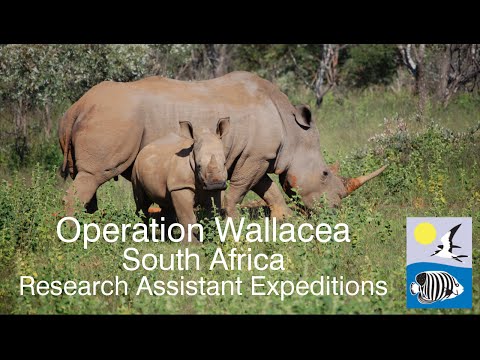 South Africa Wildlife Conservation Expedition 