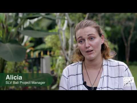 Bali Mental Health Volunteer Placement 2018