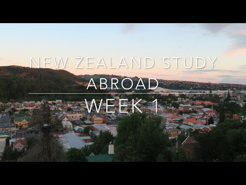 Aspiring Special Needs Teacher on trip to New Zealand!! 