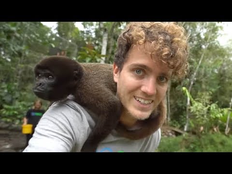 Amazing Trip To Ecuador to Rehabilitate Rainforest Animals!