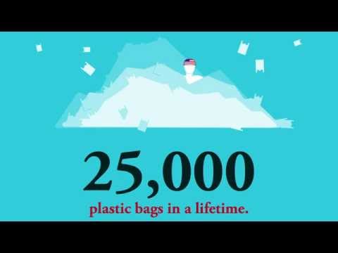 Cleaning up the plastic and saving marine wildlife 