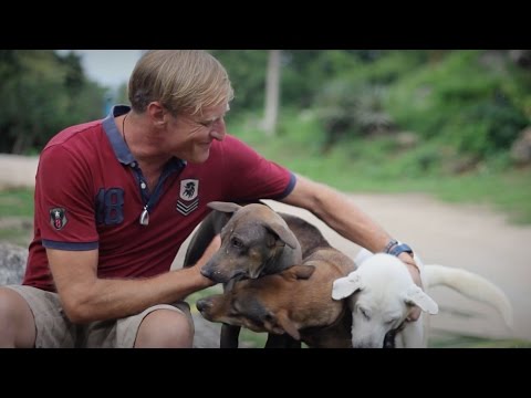 Fund me to help dogs in Thailand!