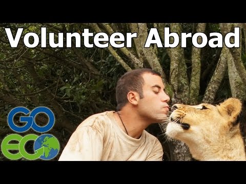 Pre-veterinary wildlife internship in South Africa